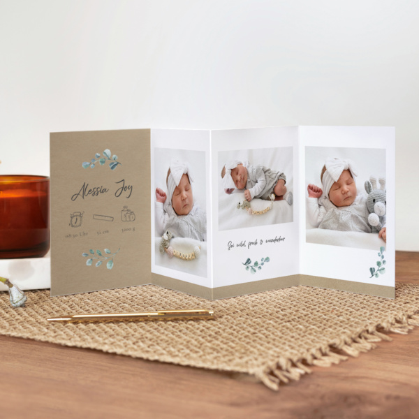 Leporello Eukalyptus