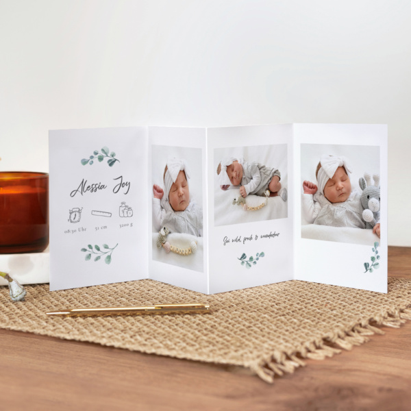 Leporello Eukalyptus